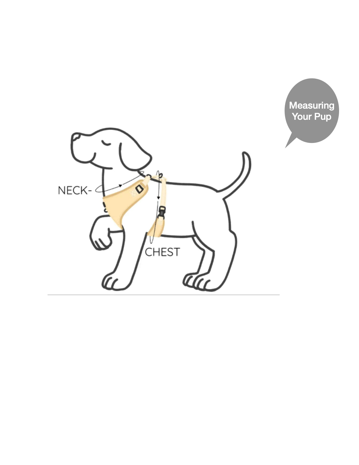 Diagram Image - Measuring Pup