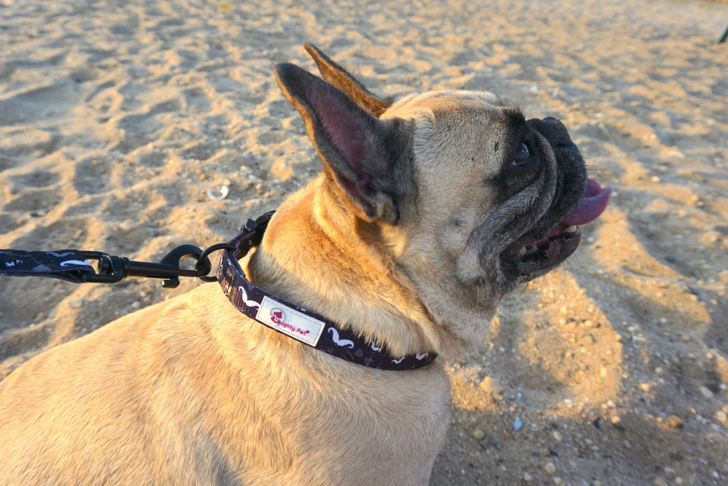 Dog Collar - Mustache