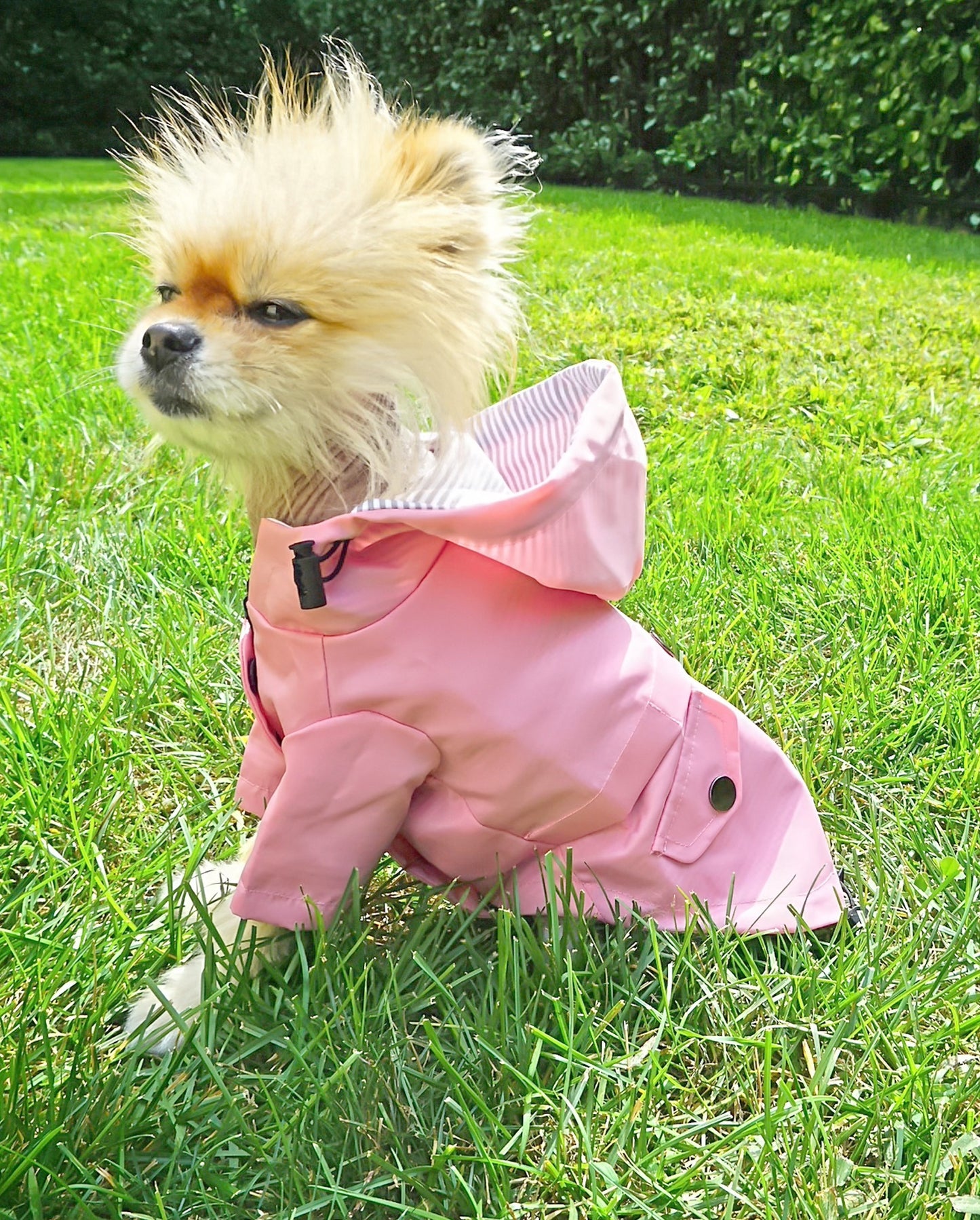 Pink raincoat side view image with dog model. 